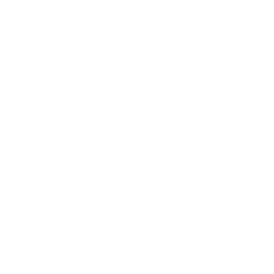 Studio Scarrone STP Logo